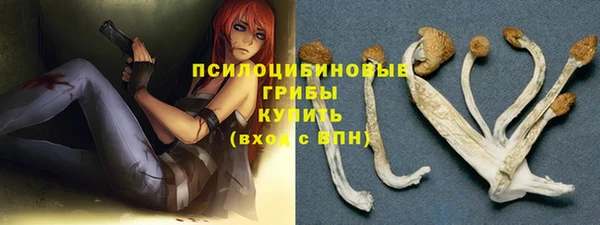 МДПВ Волосово